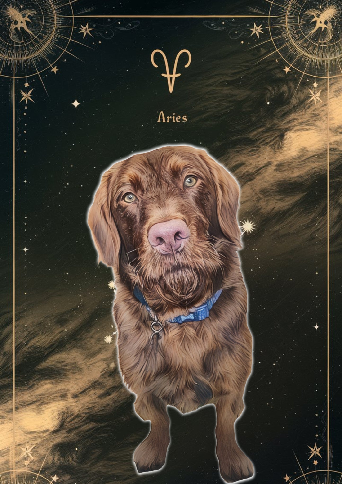 Custom Zodiac-Themed Pet Portrait – £7