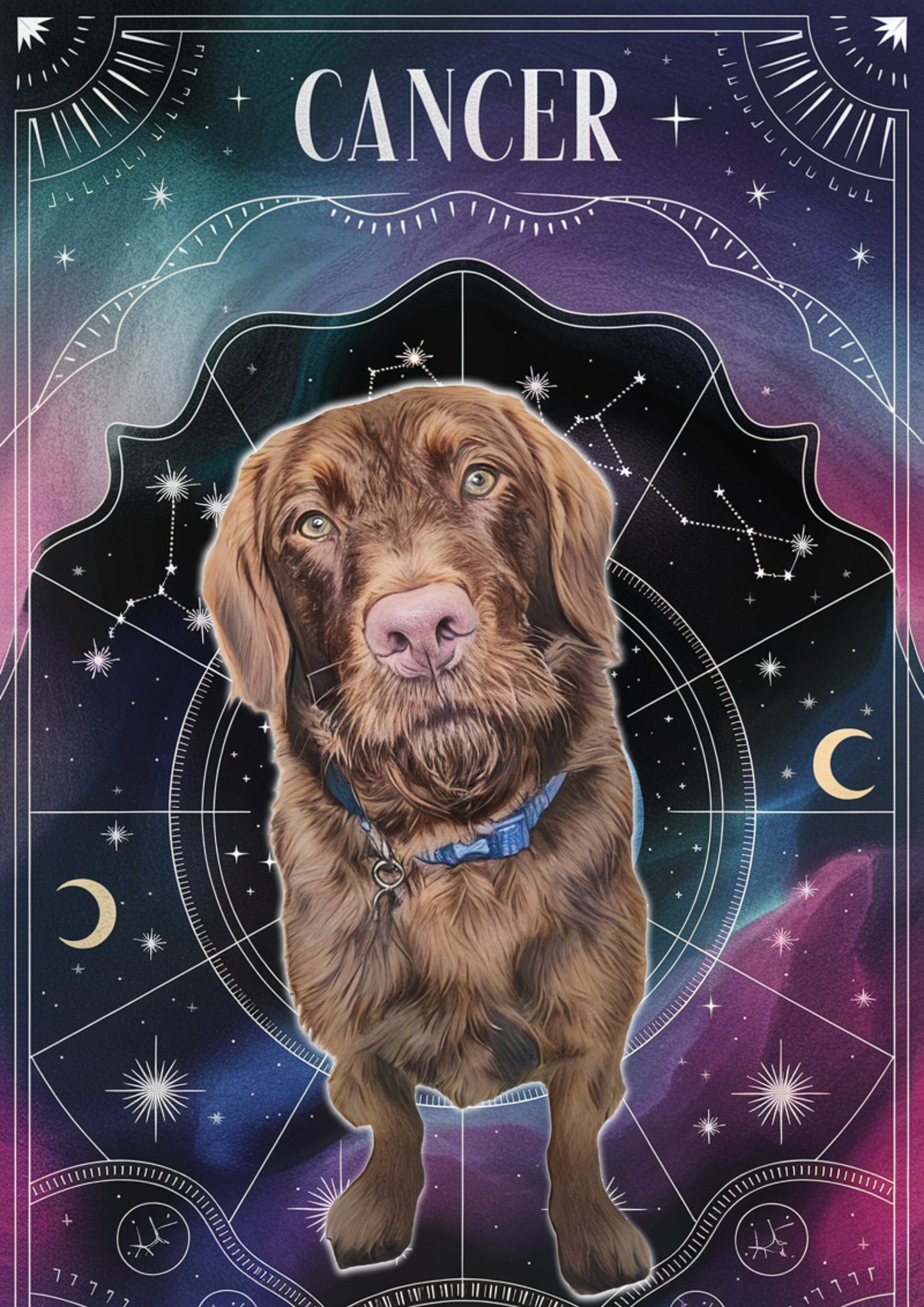 Custom Zodiac-Themed Pet Portrait – £7