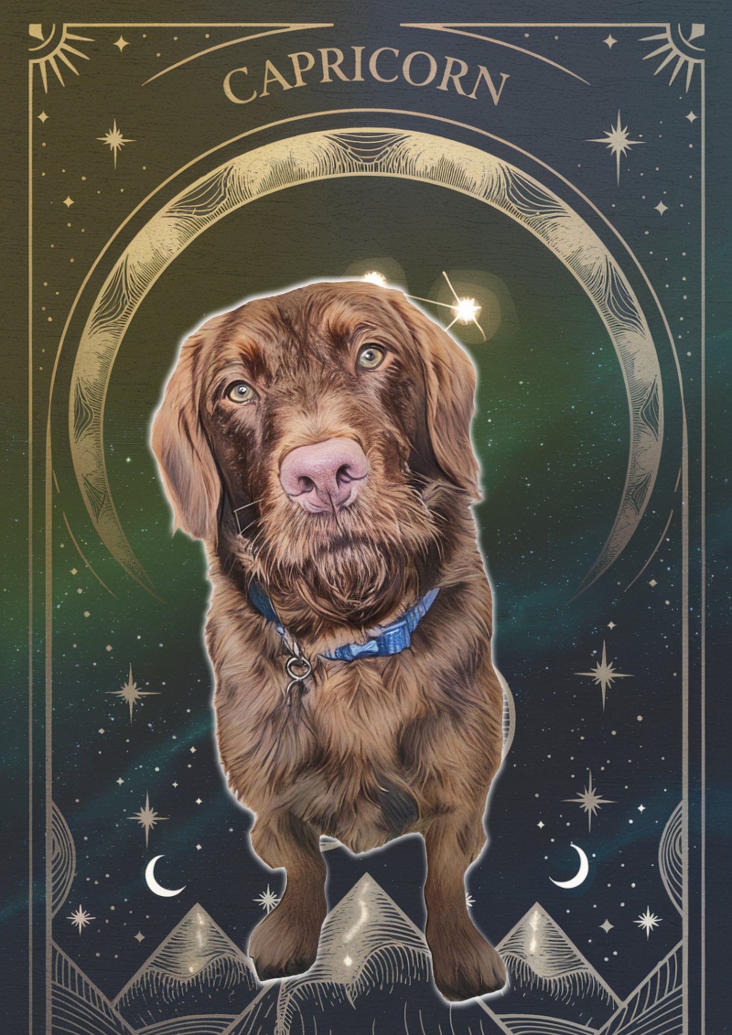 Custom Zodiac-Themed Pet Portrait – £7