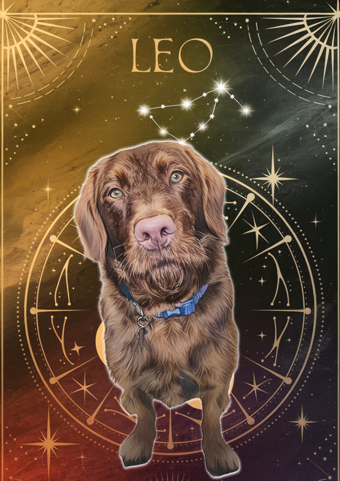 Custom Zodiac-Themed Pet Portrait – £7