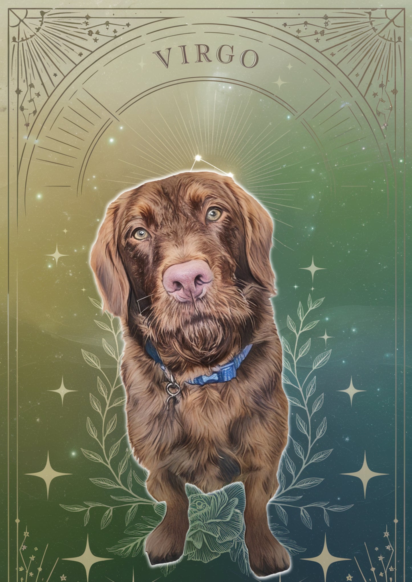 Custom Zodiac-Themed Pet Portrait – £7