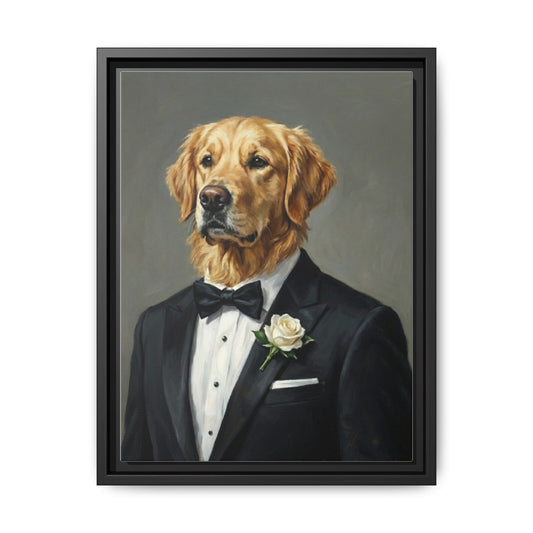 Golden Retriever in Tuxedo