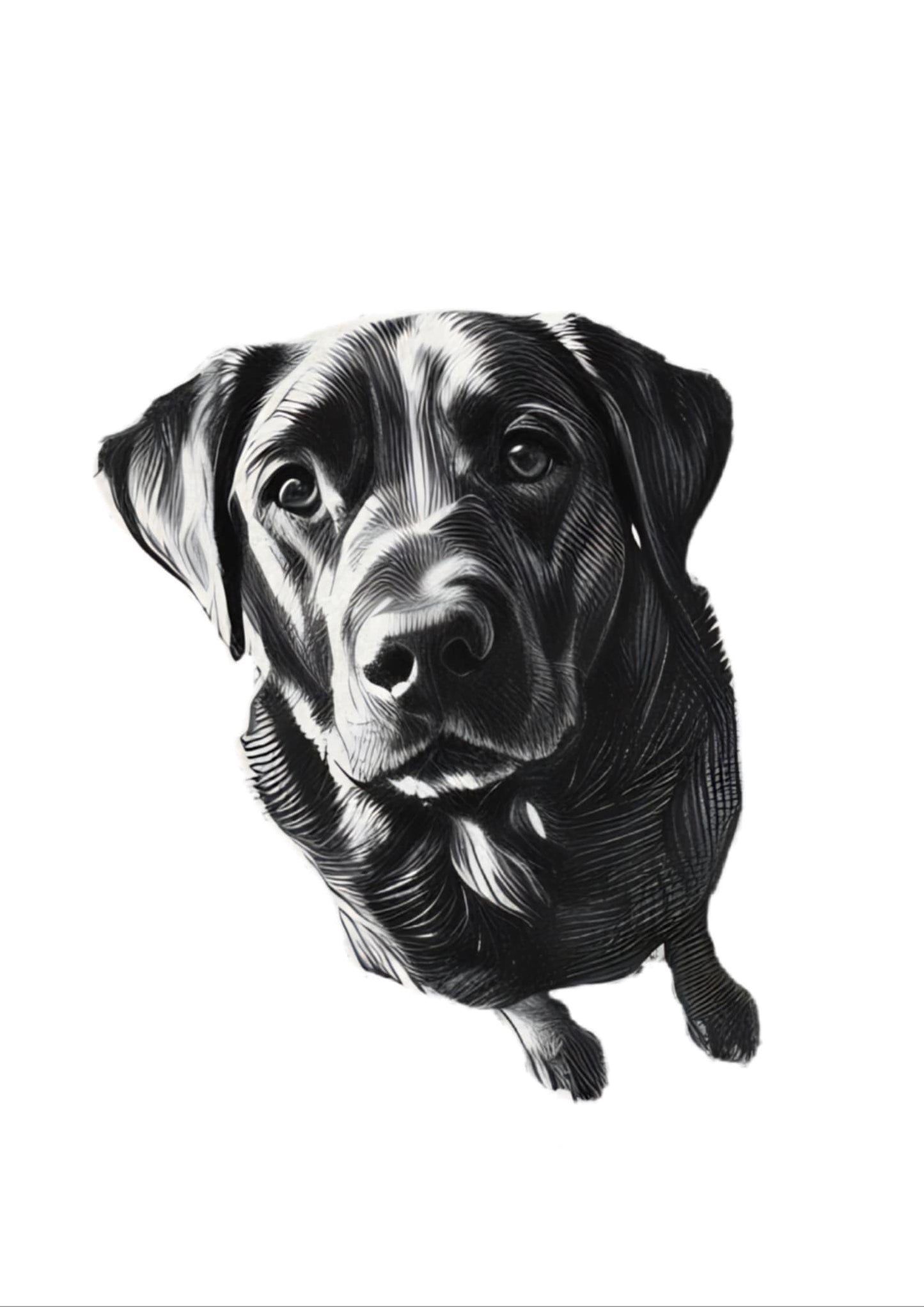 Custom Black & White Pet Portrait – Pencil Style Digital Artwork (50% OFF)